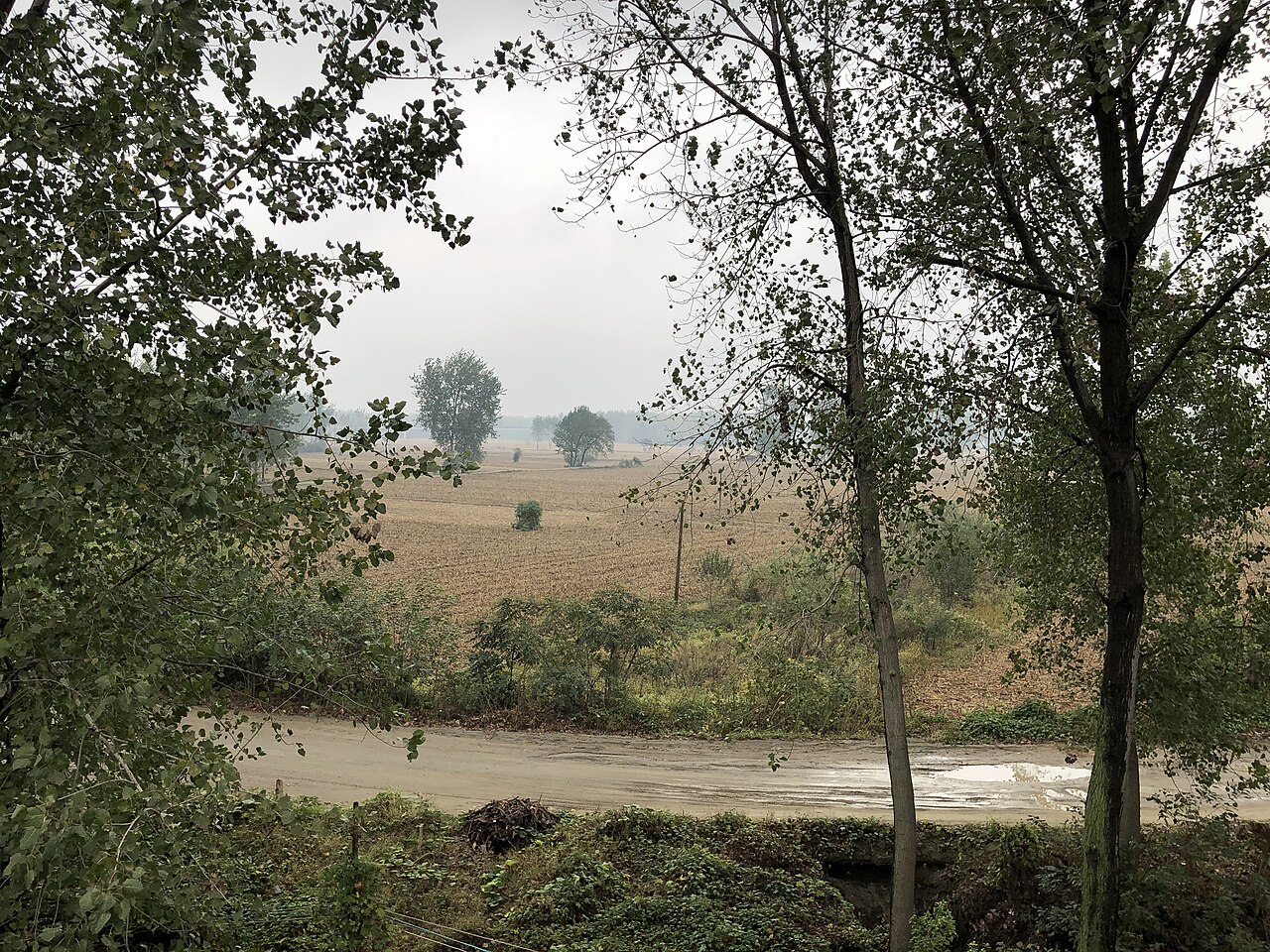 Zhongxiang