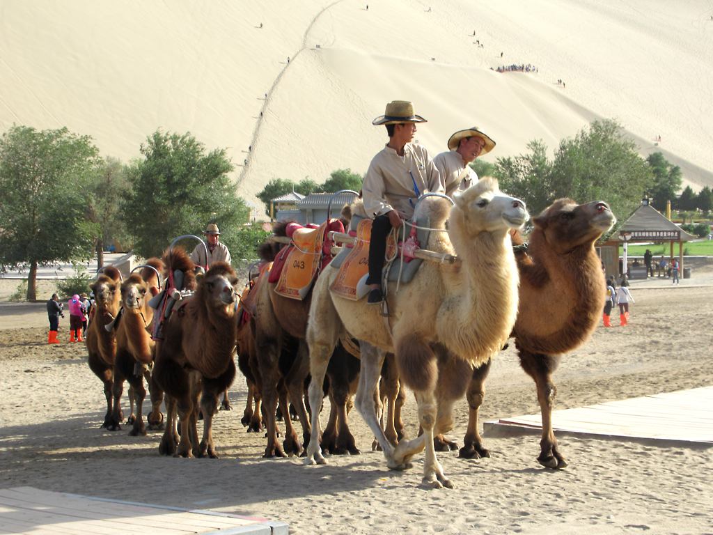 دونهوانغ