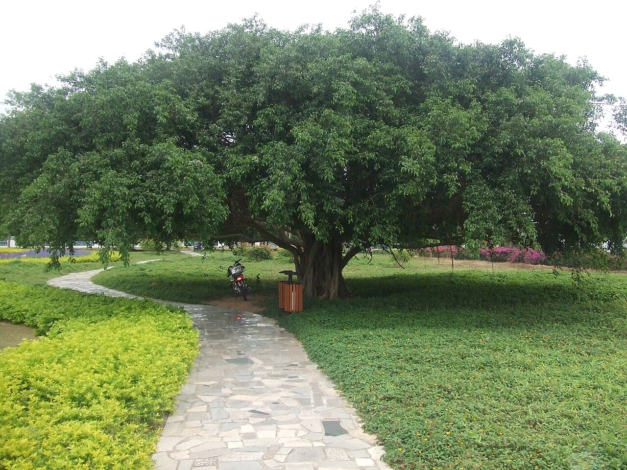 Sanya