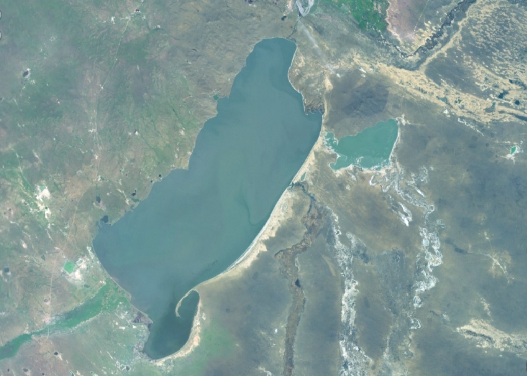 هولونبير