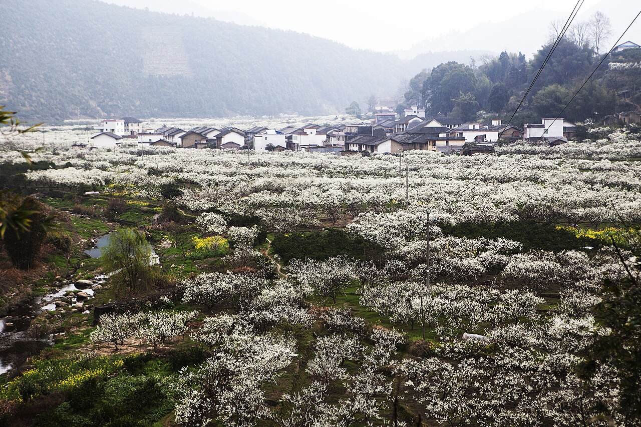 Lechang