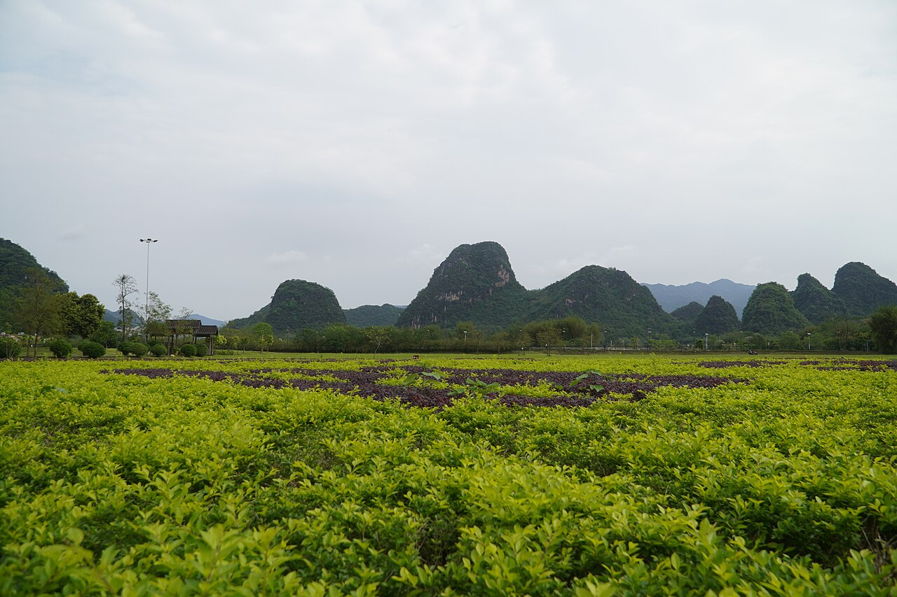 Qingyuan