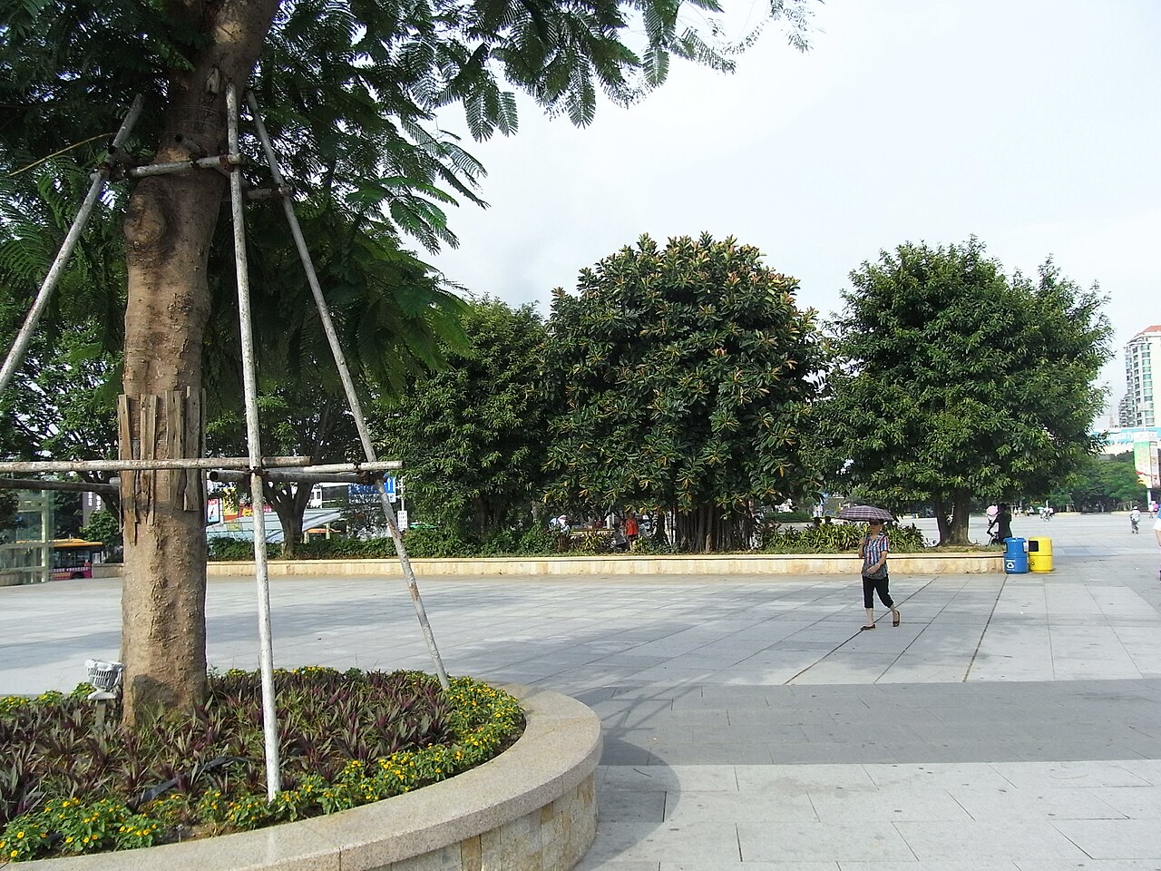 Zhaoqing