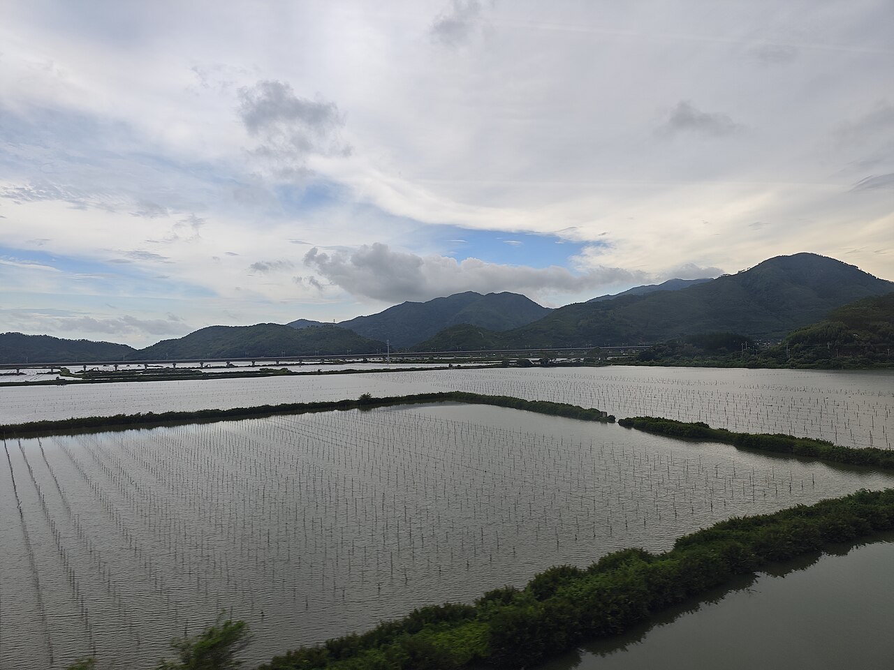 Lufeng