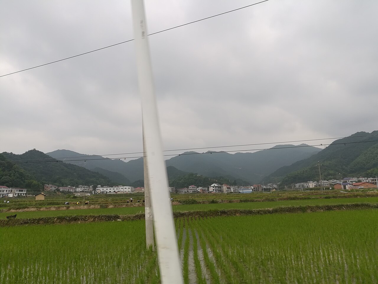 Xiangxiang