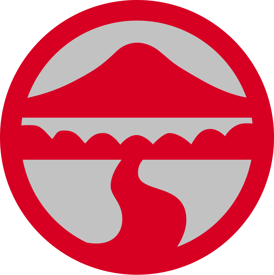 جامعة لينغنان