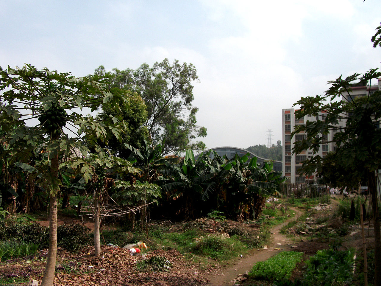 Huizhou University