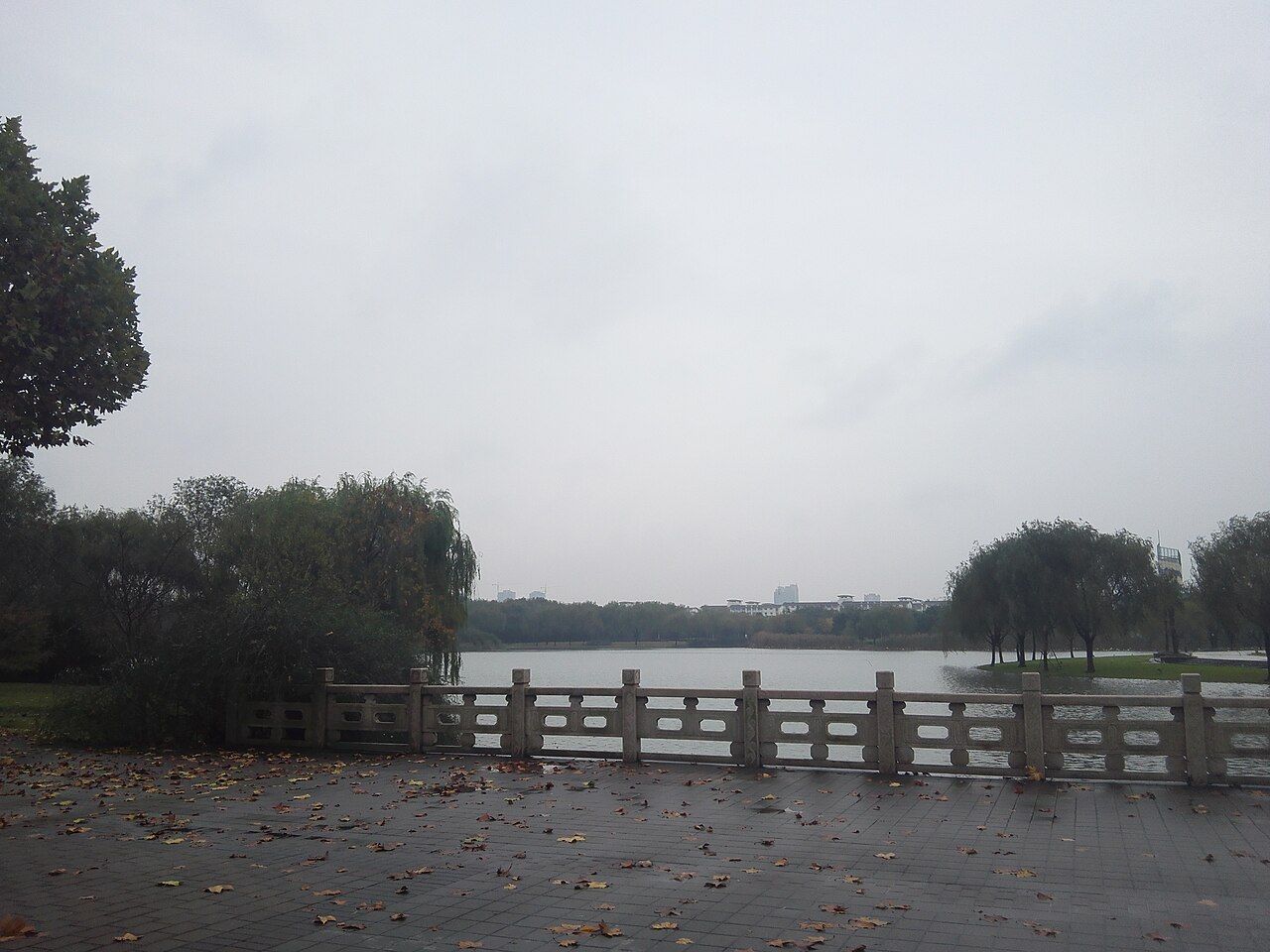 Donghua University