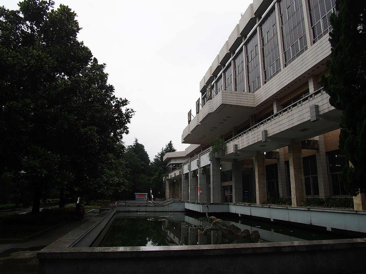 جامعة قويانغ