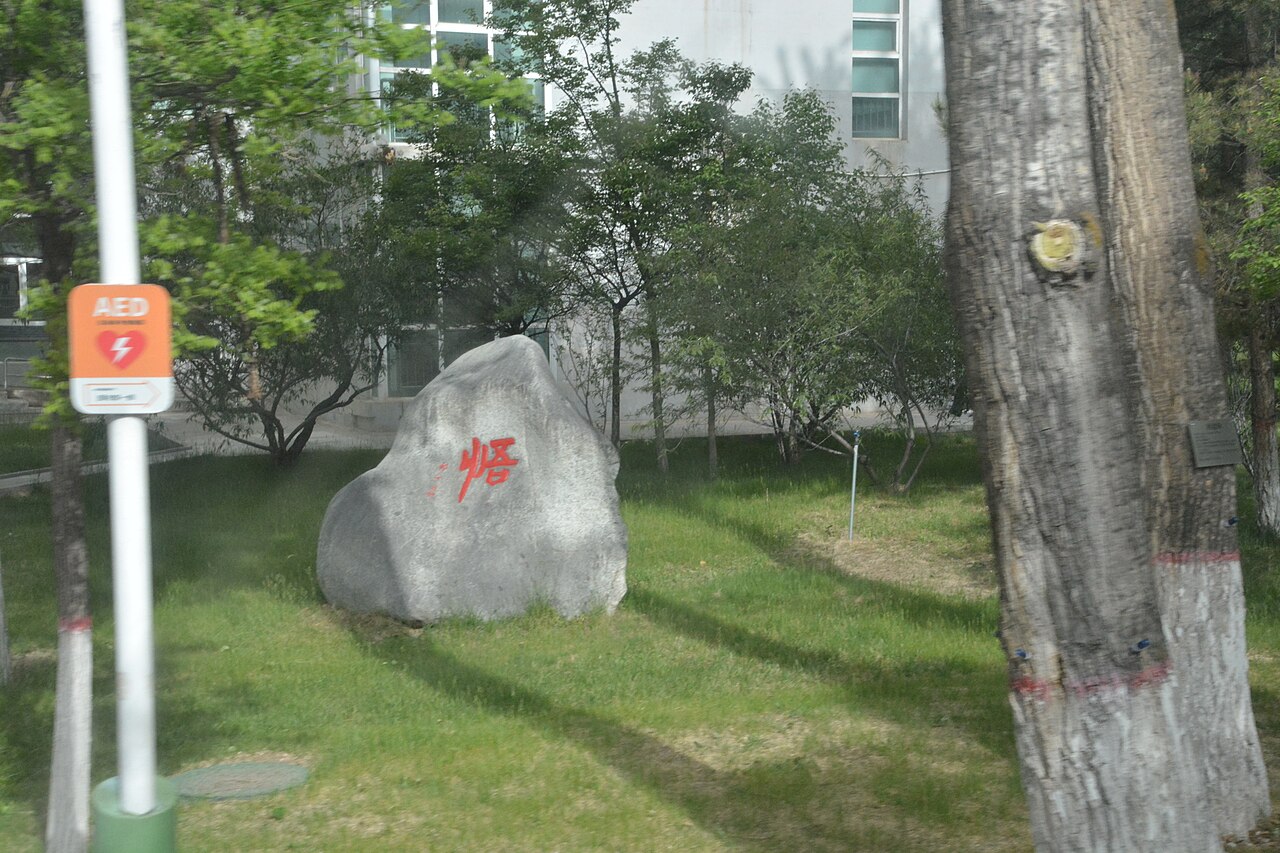 Qinghai University