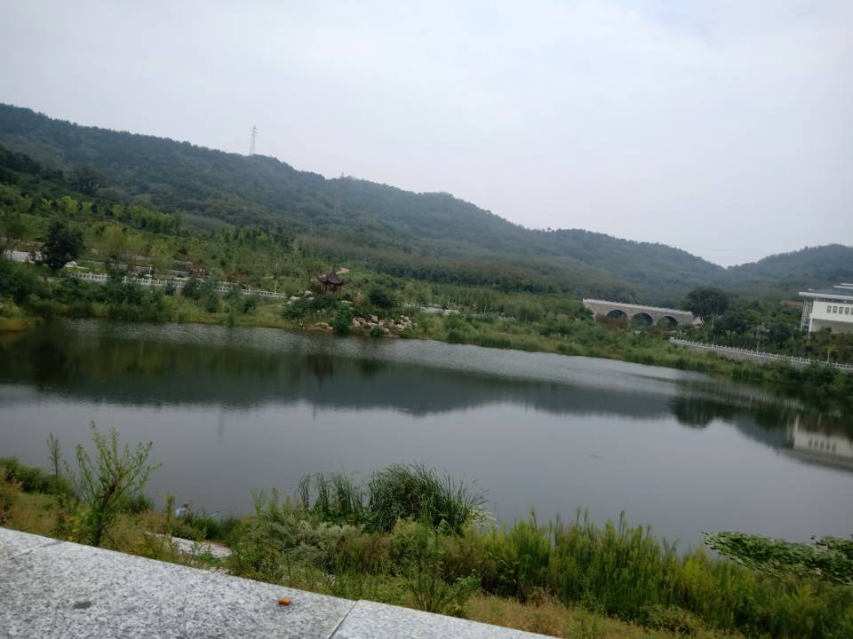 鲁东大学
