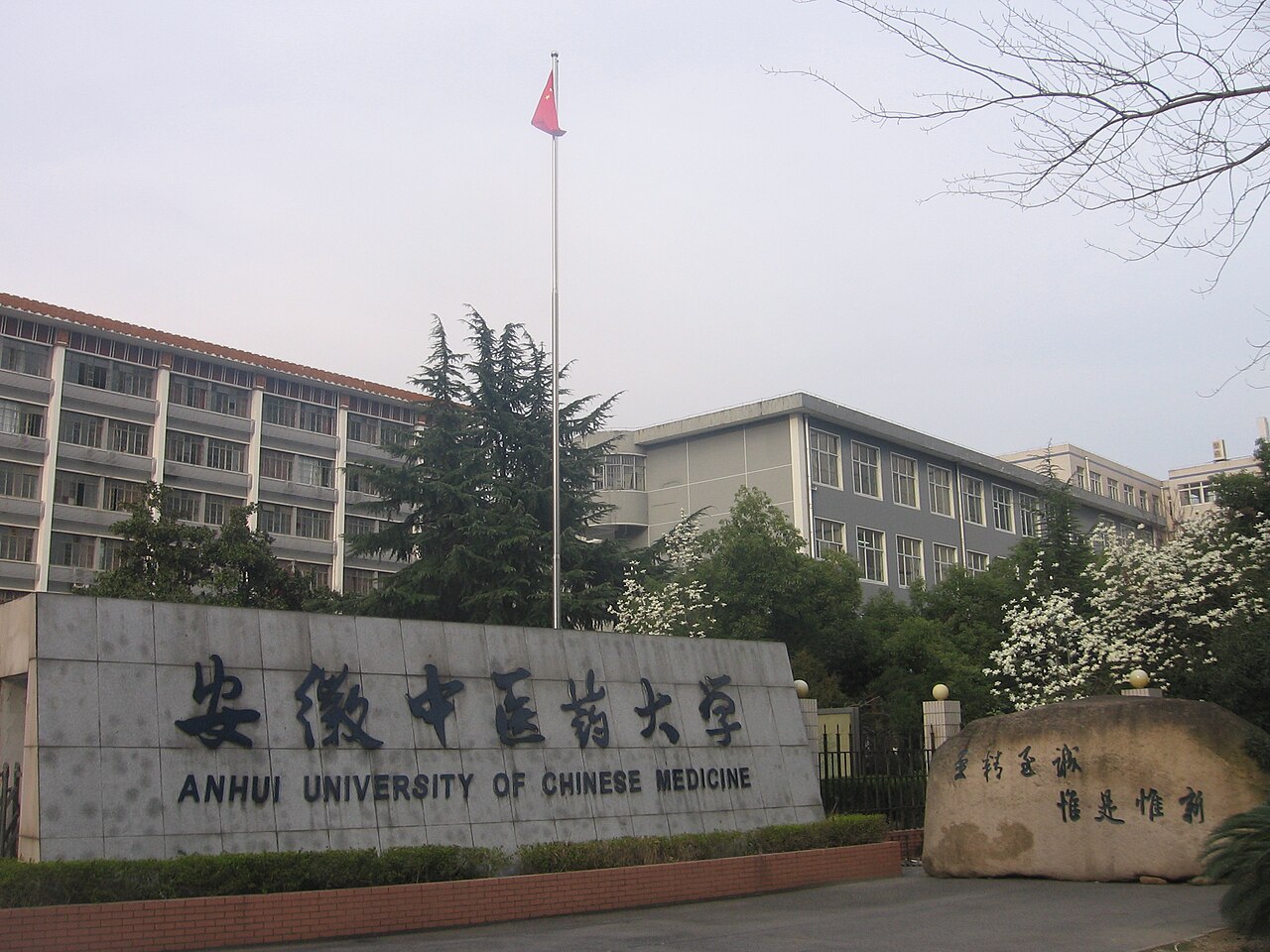 安徽中医药大学