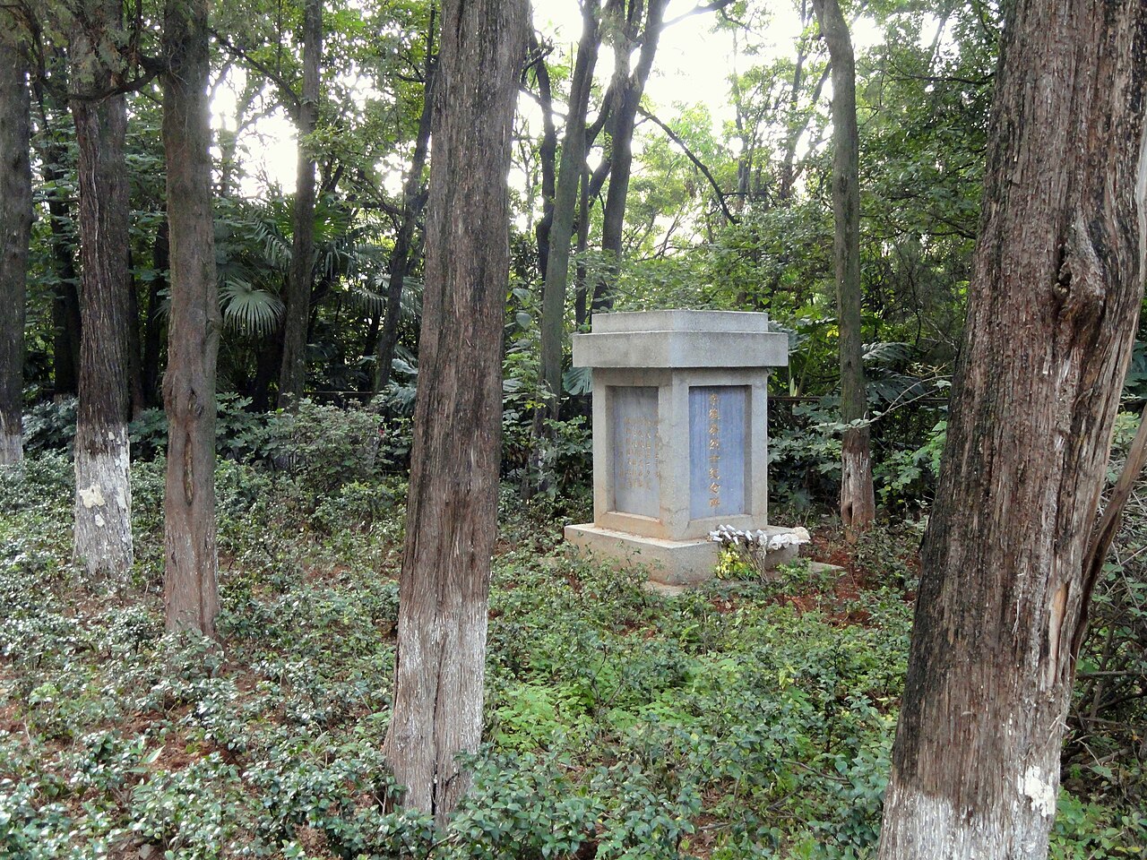 Kunming University
