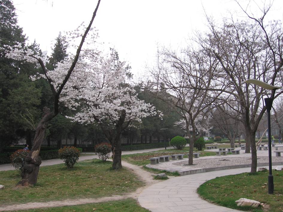 Northwest A&F University