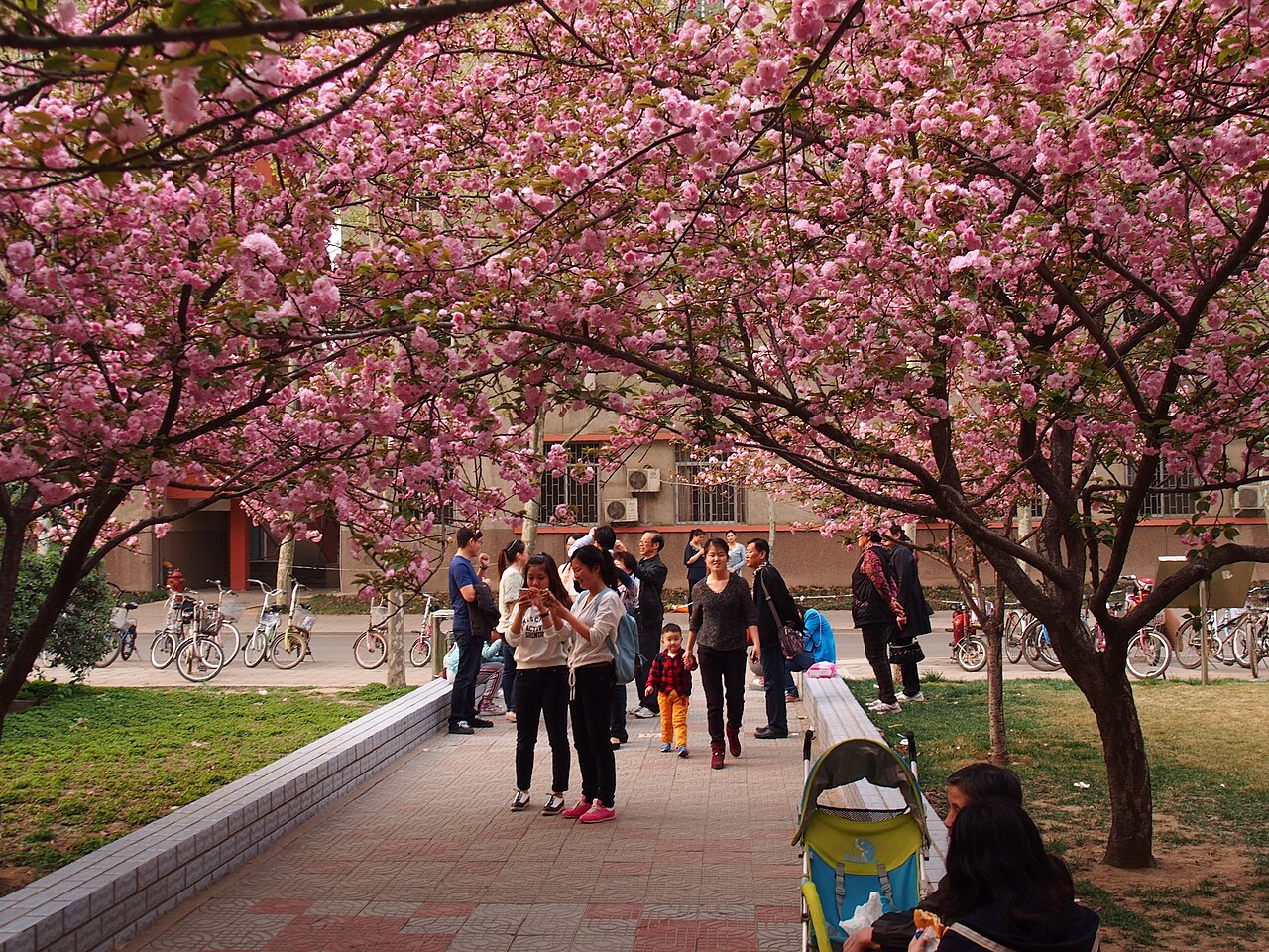 Henan Agricultural University