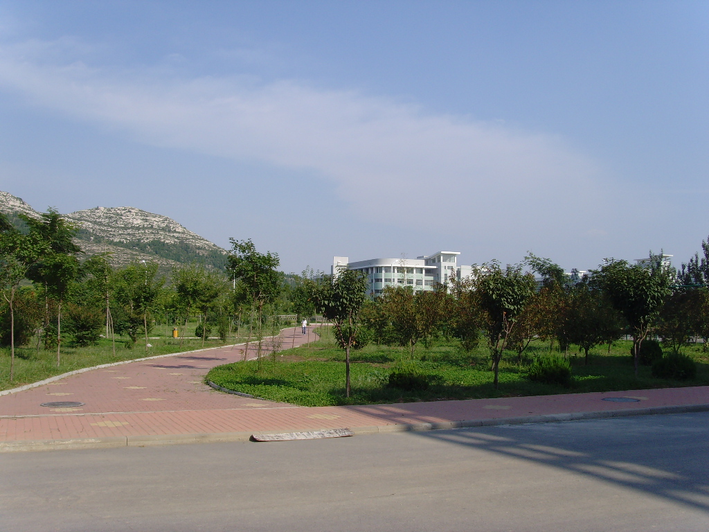 山东女子学院