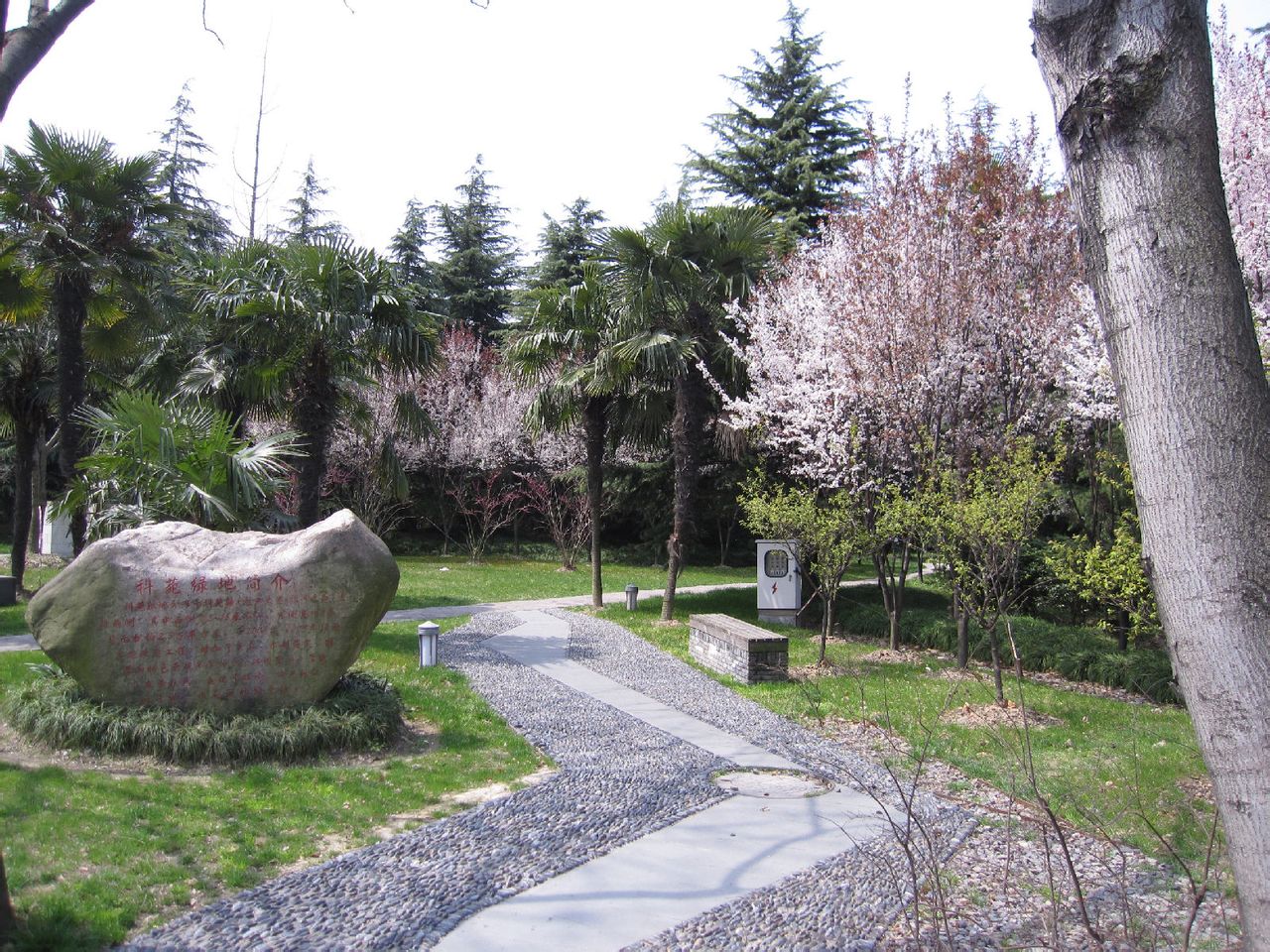 China Pharmaceutical University