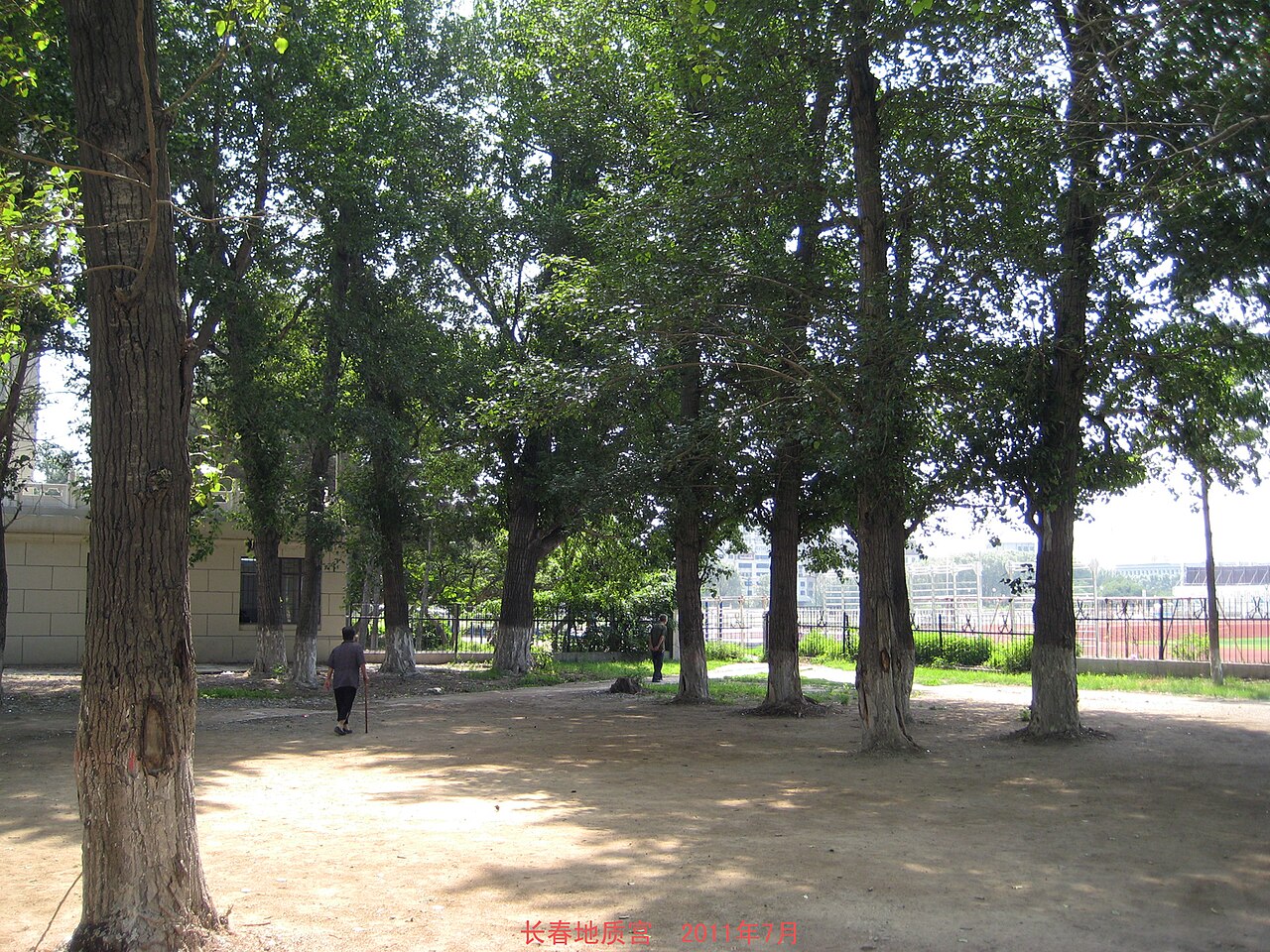 جامعة تشانغتشون للتقنية