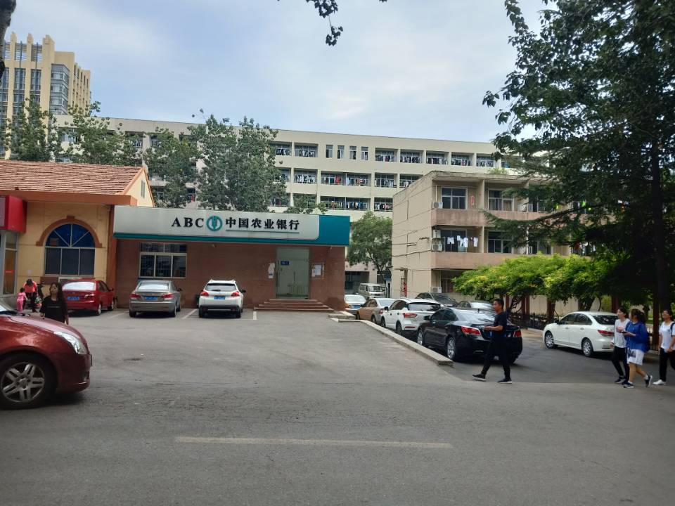 鲁东大学