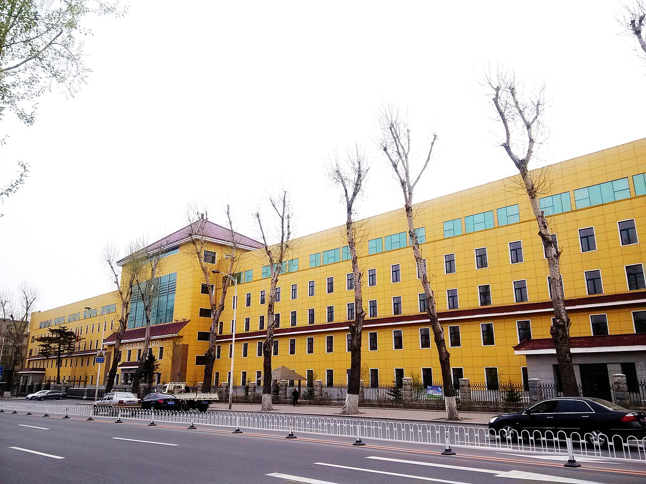Northeast Agricultural University