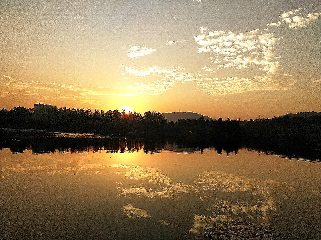 浙江农林大学