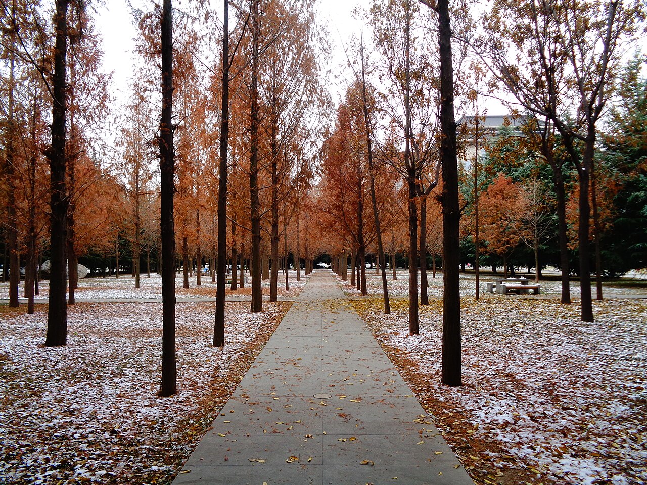 Shaanxi Normal University