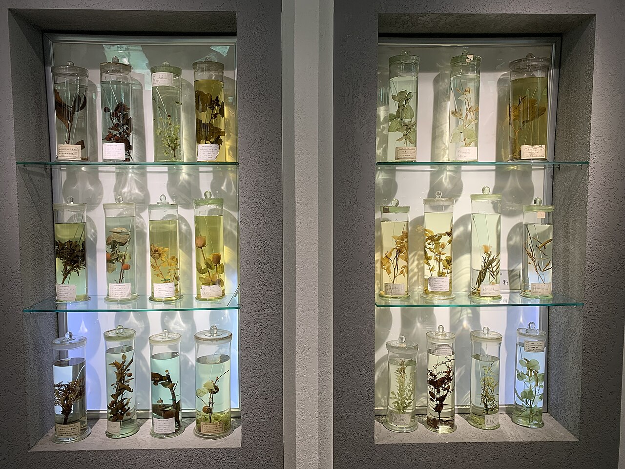 Henan University of Chinese Medicine
