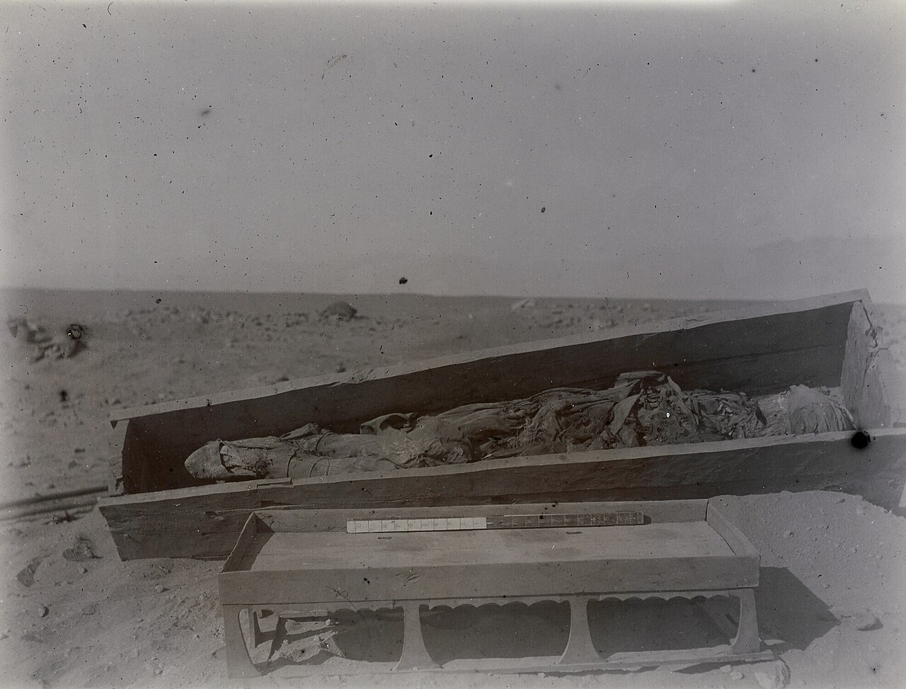 جامعة تاريم