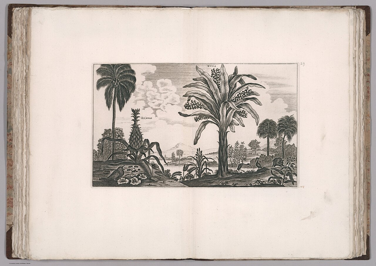 جامعة تيانجين الزراعية