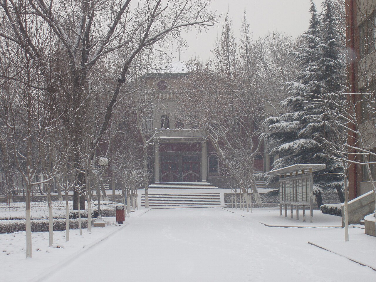 جامعة شاندونغ الزراعية