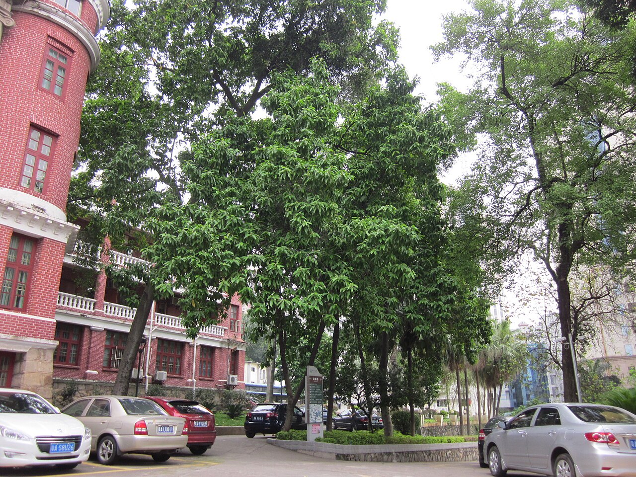 广州医科大学