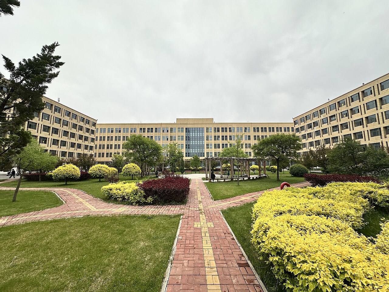 Qinghai University