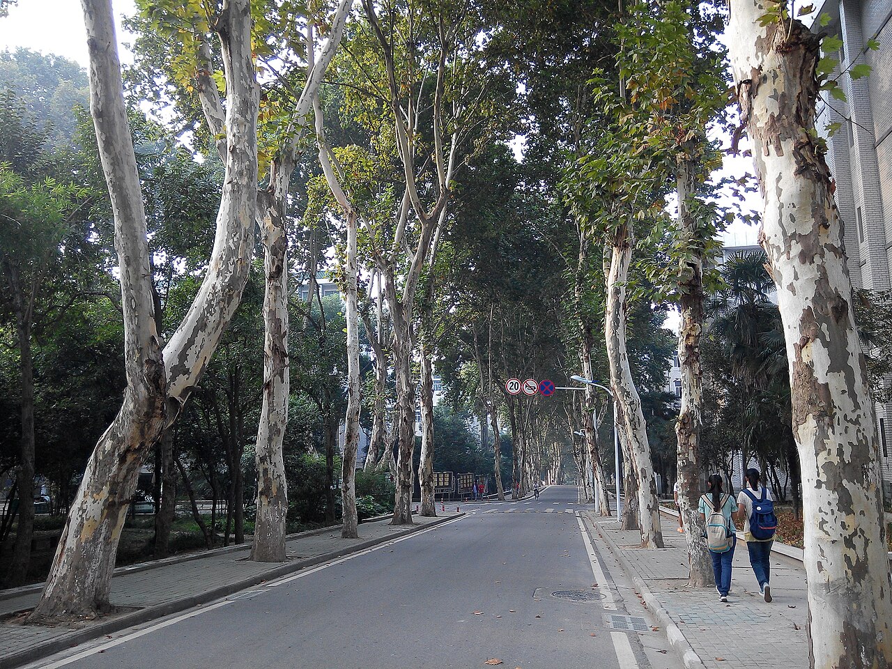 Wuhan University of Technology