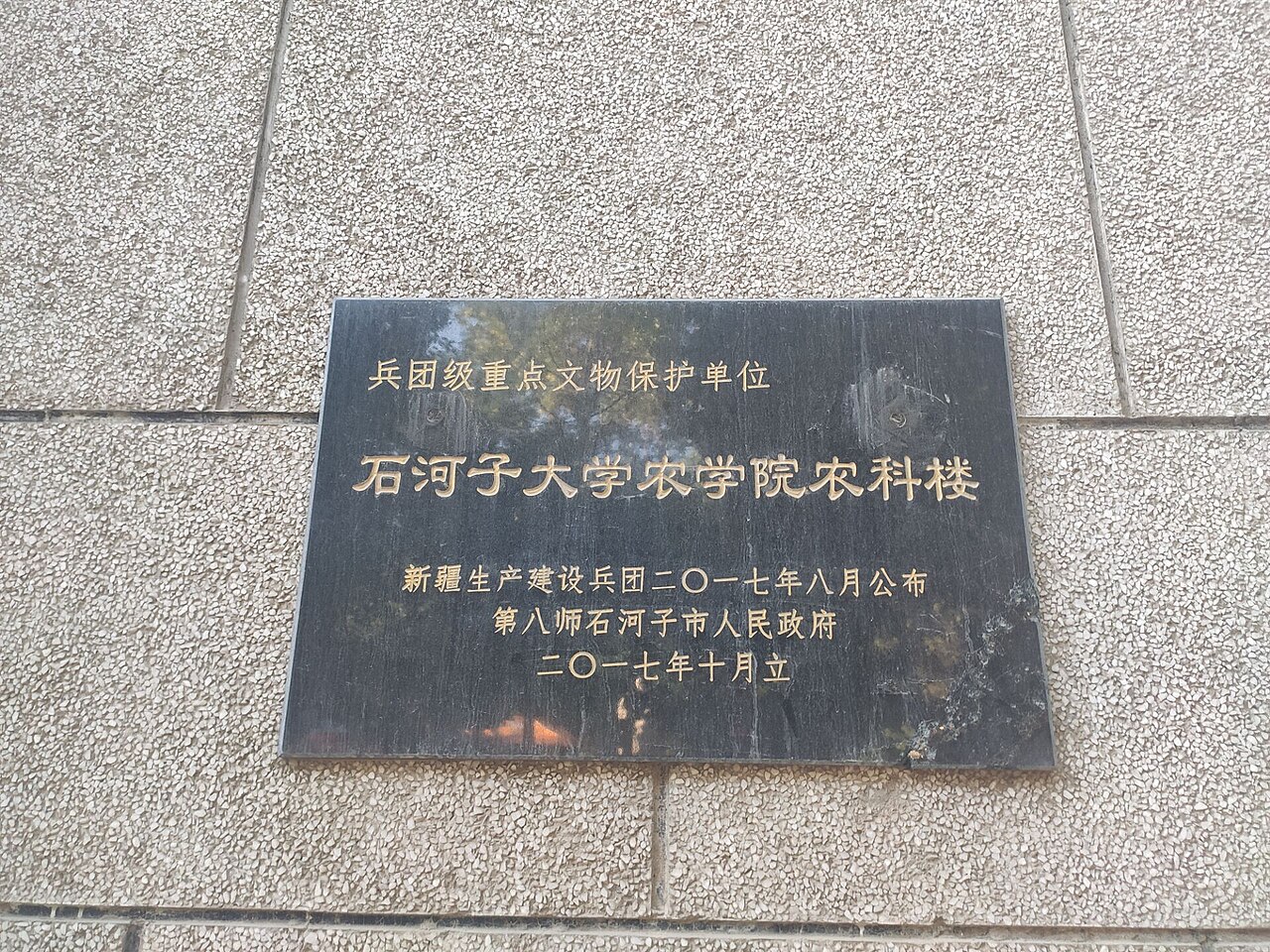 Shihezi University