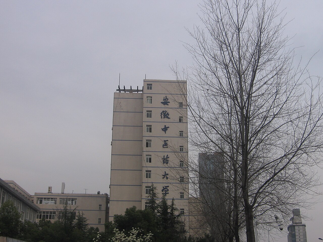 安徽中医药大学