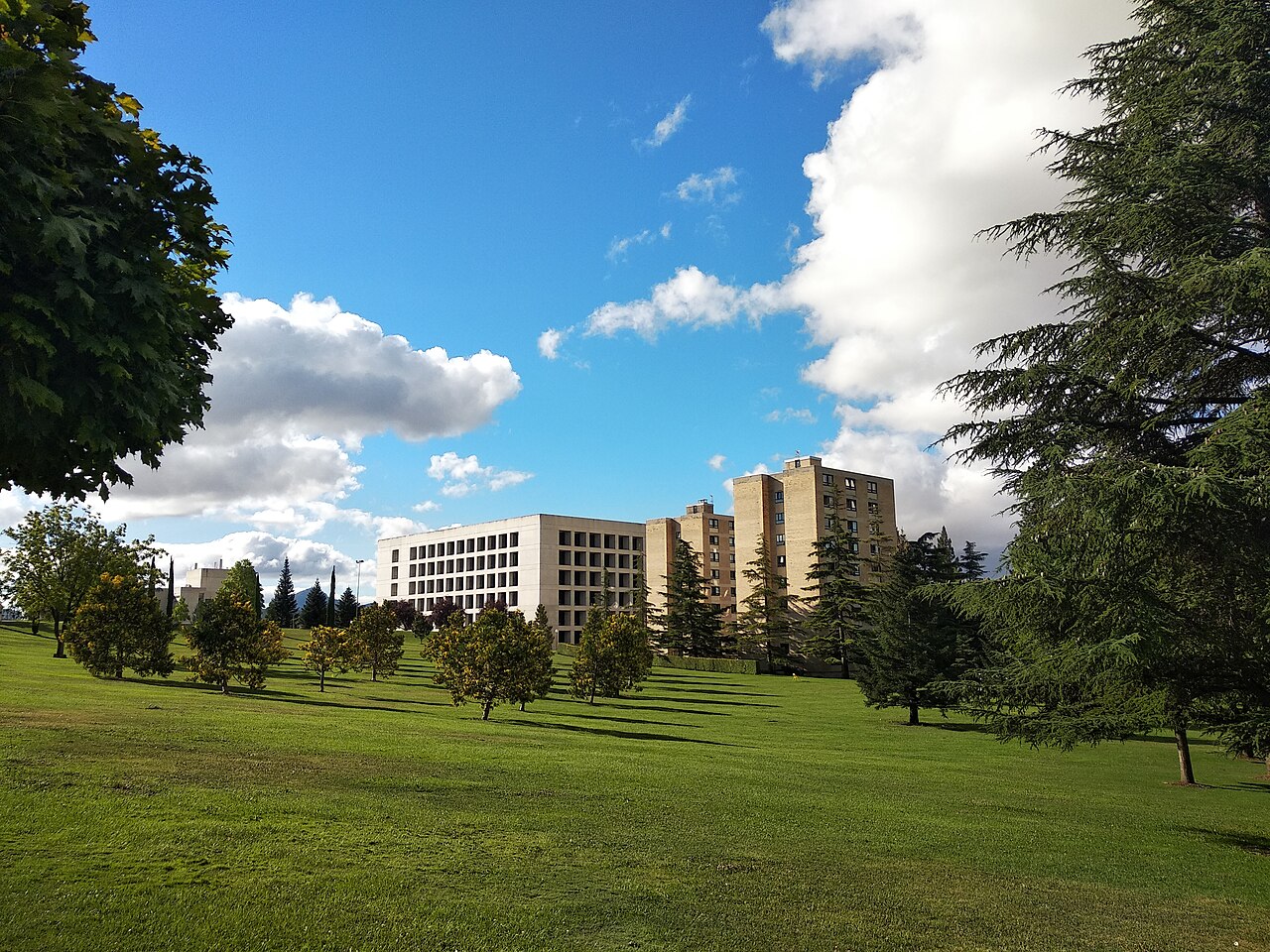 仰恩大学