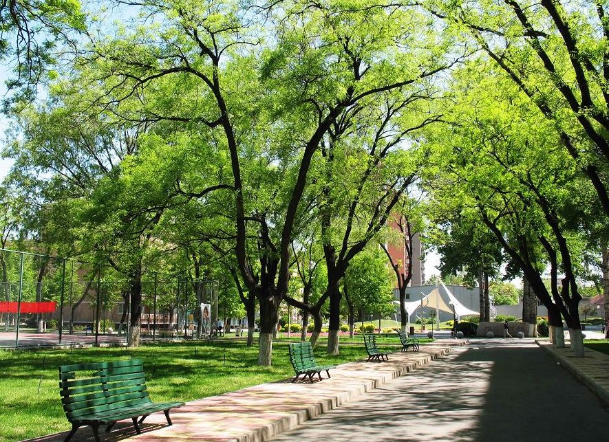 中国传媒大学