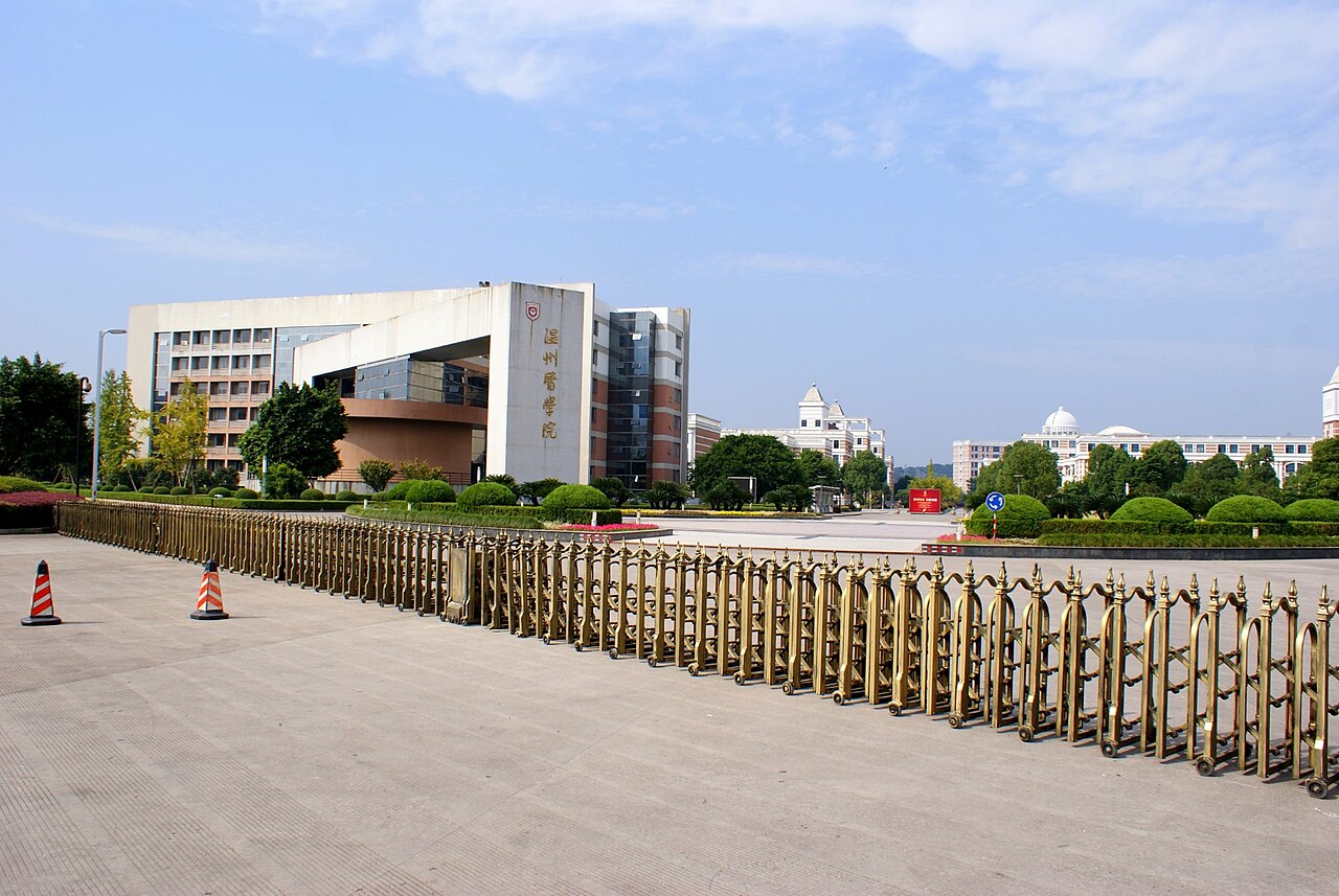 Wenzhou University