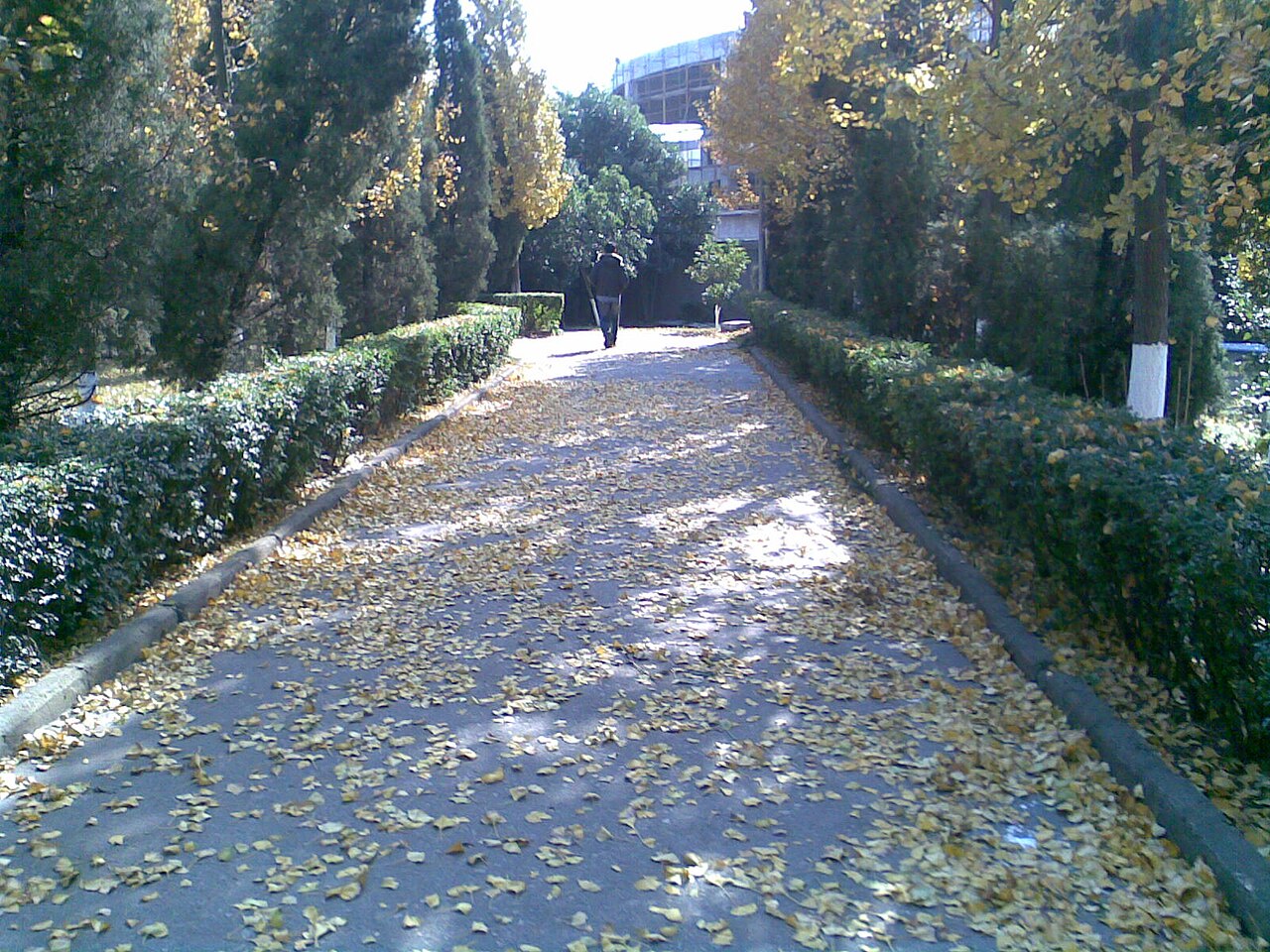 江苏理工学院