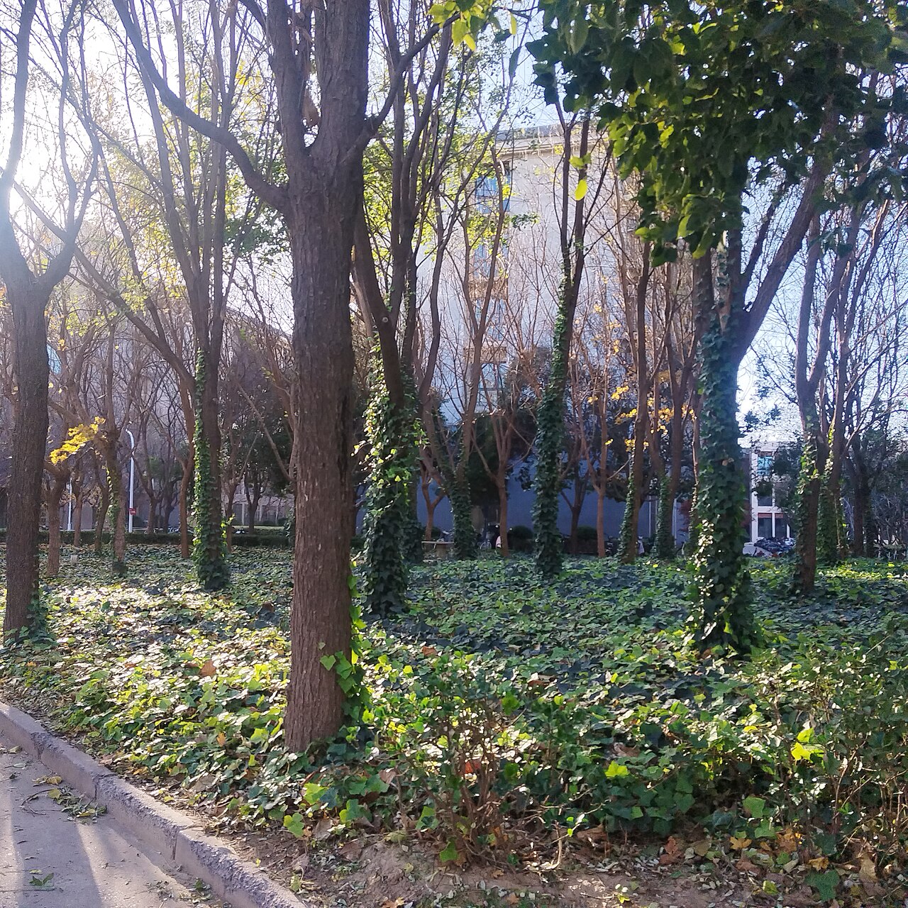 河南警察学院
