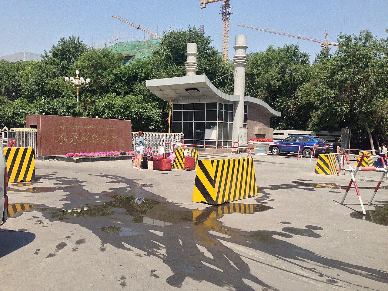 新疆财经大学