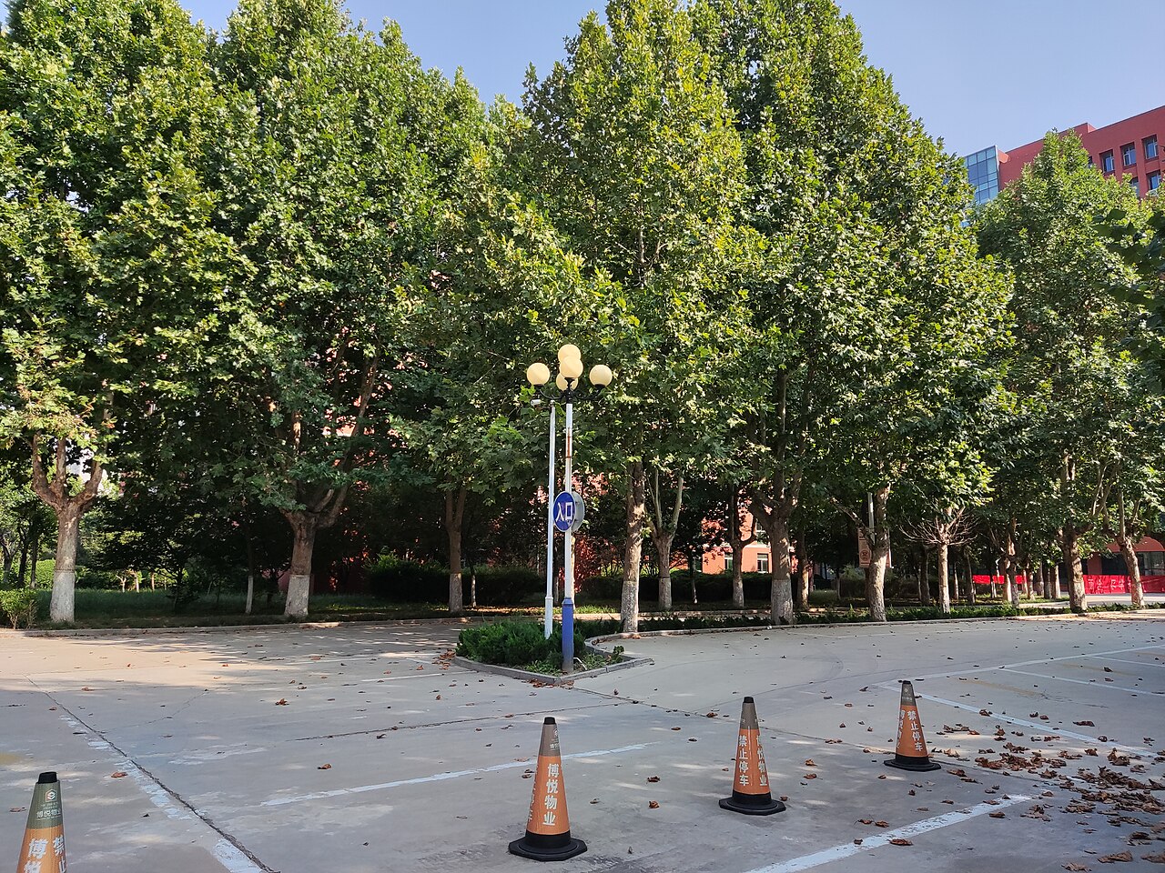 Weifang University