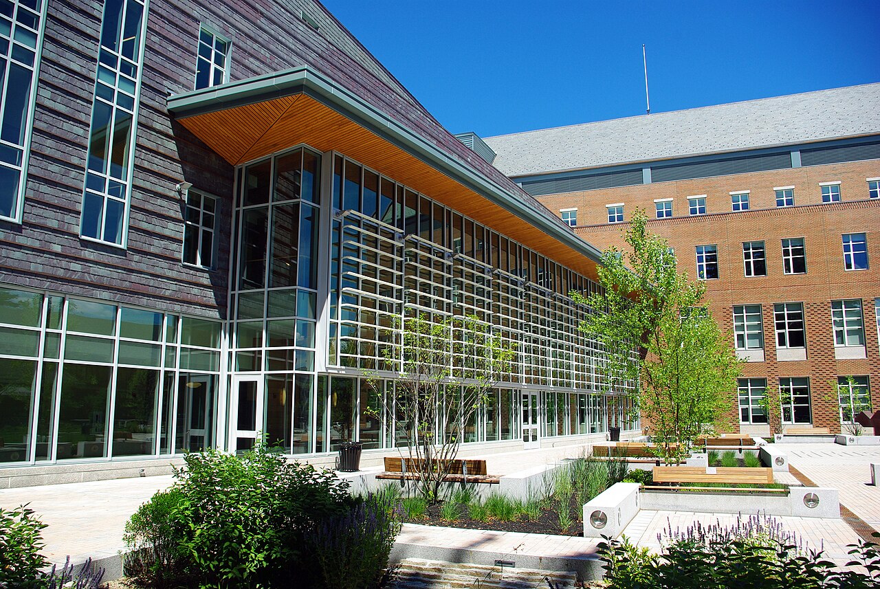 University of International Business and Economics