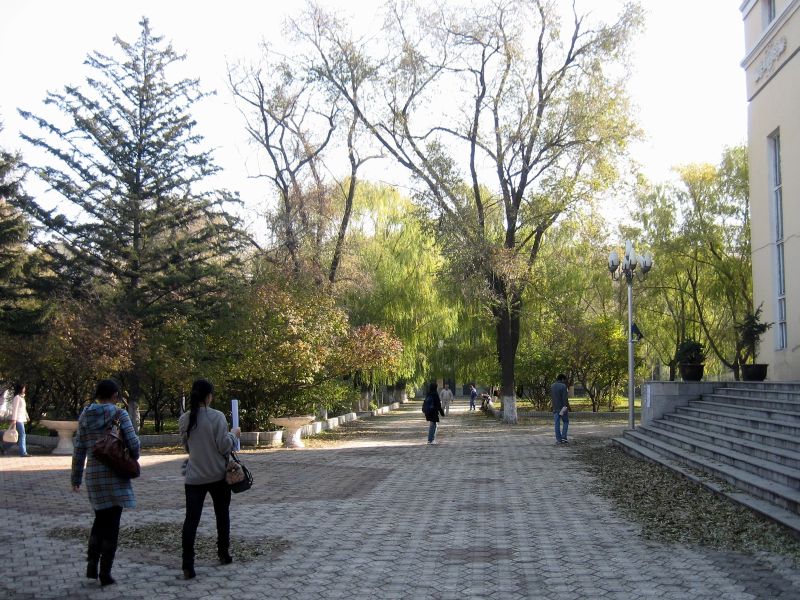 جامعة هاربين