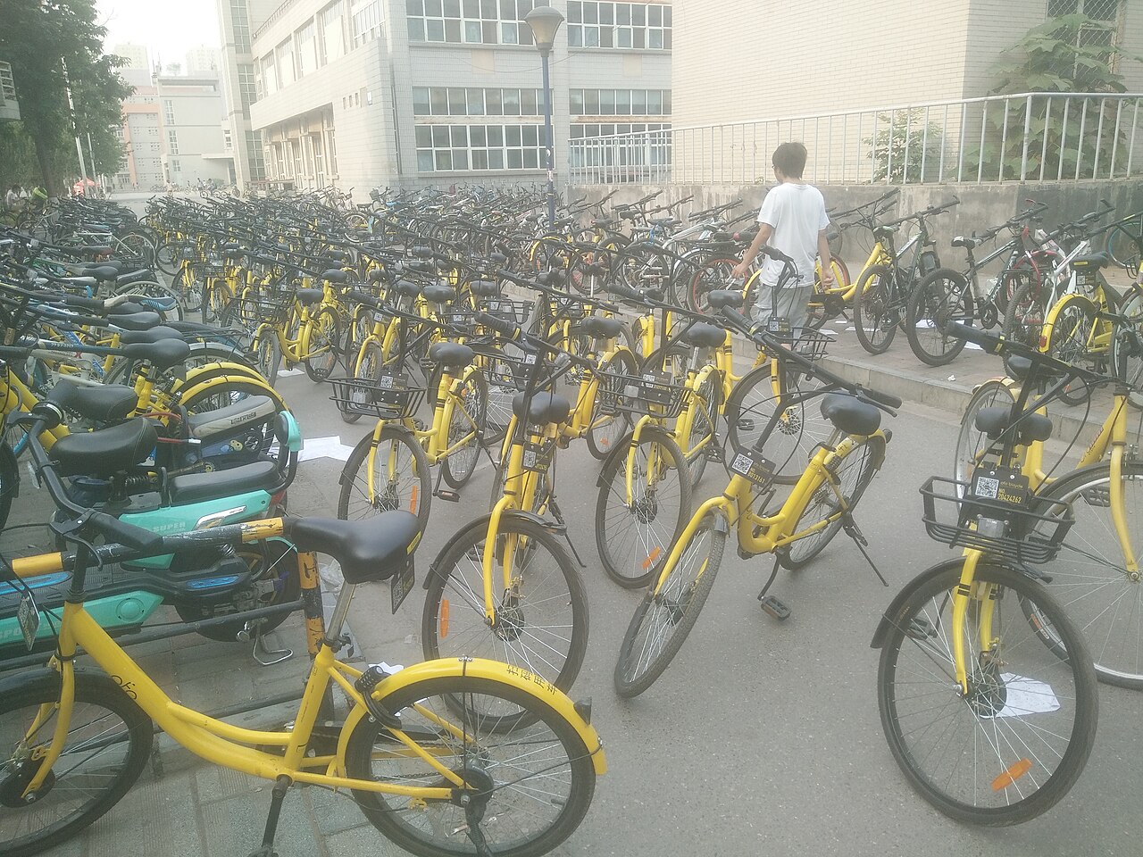 Hebei University of Science and Technology