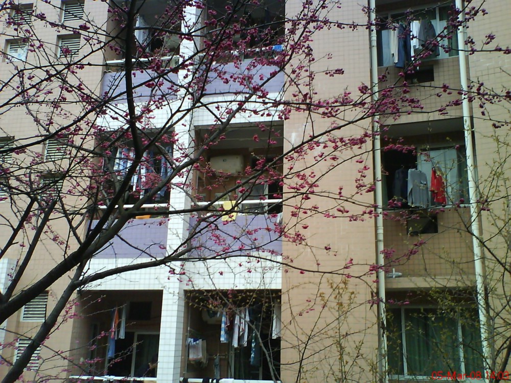 University of International Business and Economics