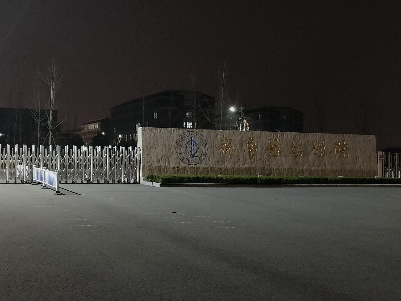 Qilu Medical University