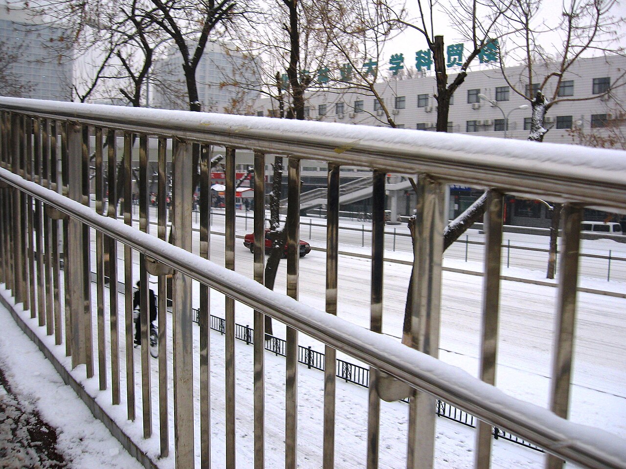 Beijing Forestry University