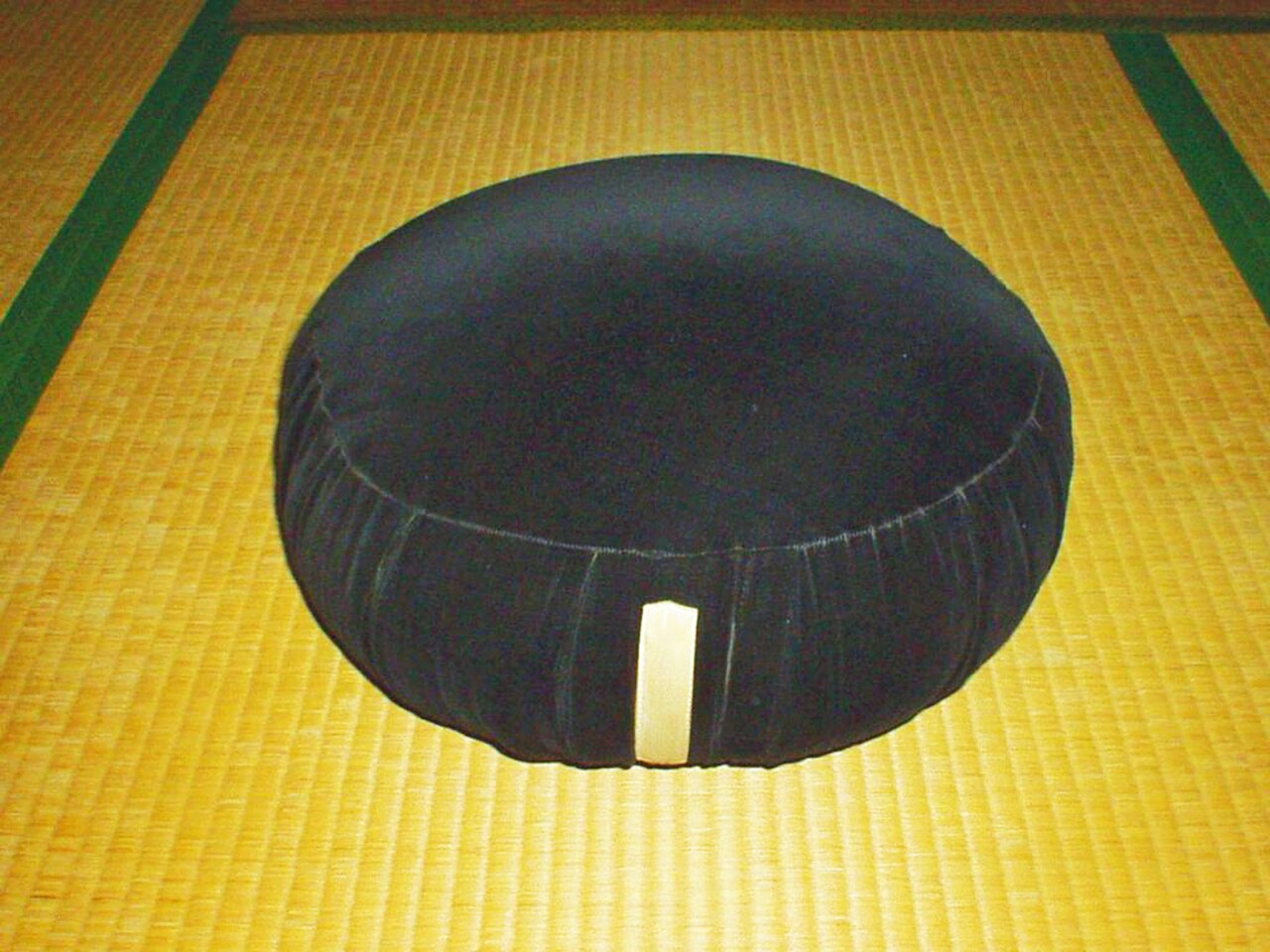浙江农林大学