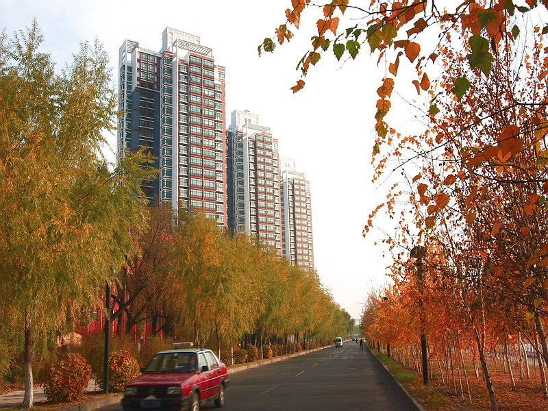 Qiqihar University